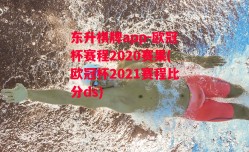 东升棋牌app-欧冠杯赛程2020赛果(欧冠杯2021赛程比分ds)