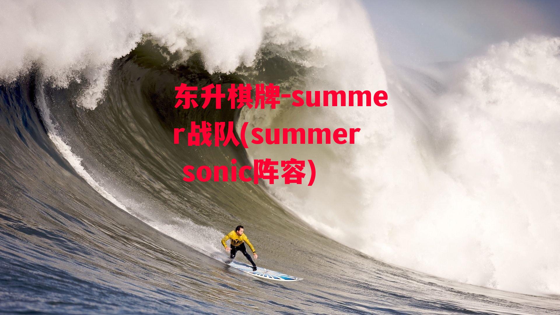 summer战队(summer sonic阵容)